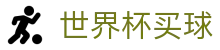 2026国际足联世界杯买球_伤停线索与赛后要点梳理